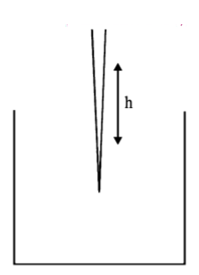 Mechanical Properties of Solids and Fluids mcq question image
